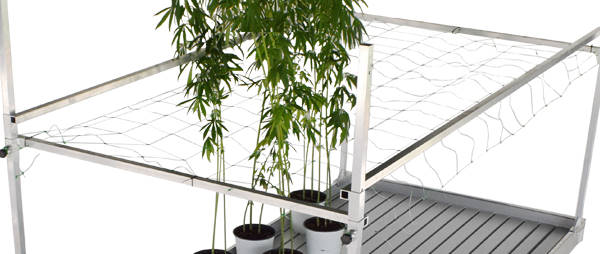 Plants and flowers grow equipment