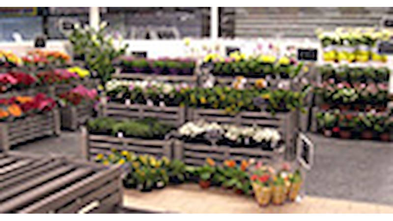 Plants and flowers shop in Palazzolo (BS)