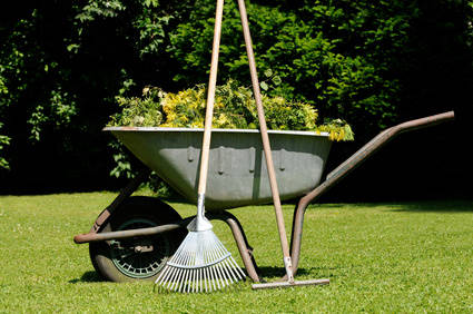 Record-increased number of landscapers, how to stand out from the competition?  