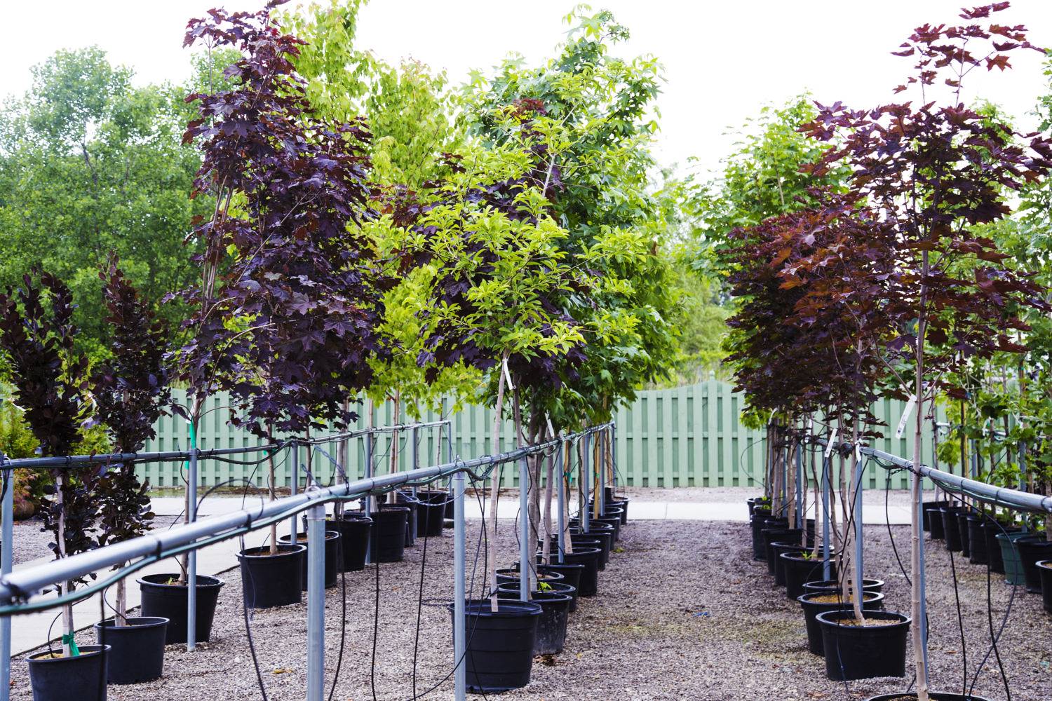 Re-use, Repurpose, Recycle