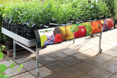 RUSSIA - MOSCOW - The official opening of the Garden Center in a new format!