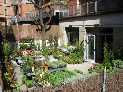 Senape vivaio urbano, the green world in Bologna city center