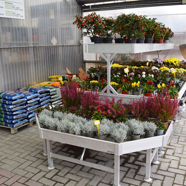 Новый облик сада Фредиани