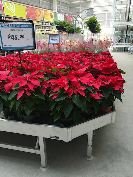 Новые центры товаров для дома и ремонта Sodimac в Мексике