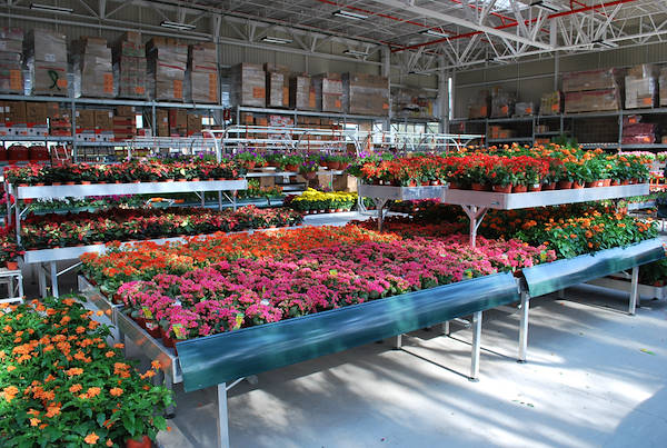 Gallery Home Depot Messico