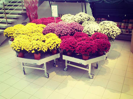 SUN GREEN – Saratov. It's their 2nd Garden Centre in Russia 