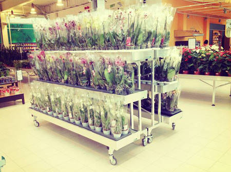 SUN GREEN – Saratov. It's their 2nd Garden Centre in Russia 