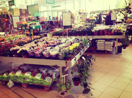 SUN GREEN – Saratov. It's their 2nd Garden Centre in Russia 