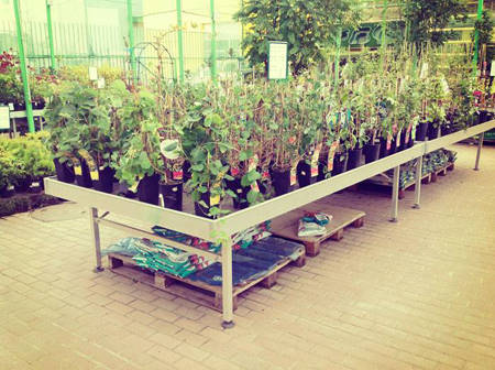SUN GREEN – Saratov. It's their 2nd Garden Centre in Russia 