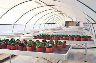 Supply plant and flower benches to a major Israeli company