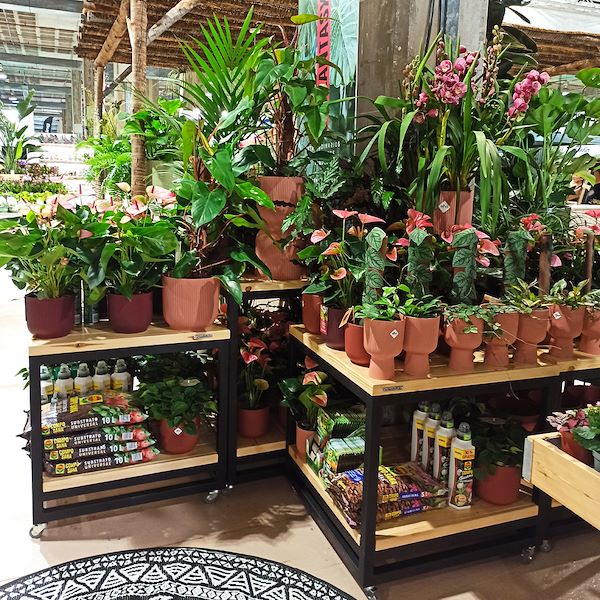 table with two wood shelves on wheels