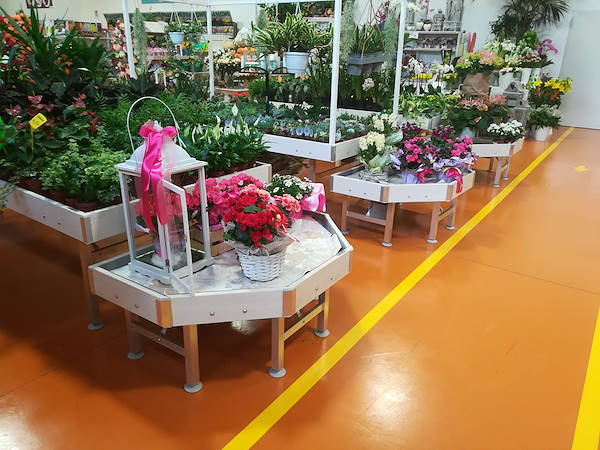 The new concept Paviotti by Orlandelli