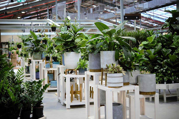 The new Flower Power Garden Center