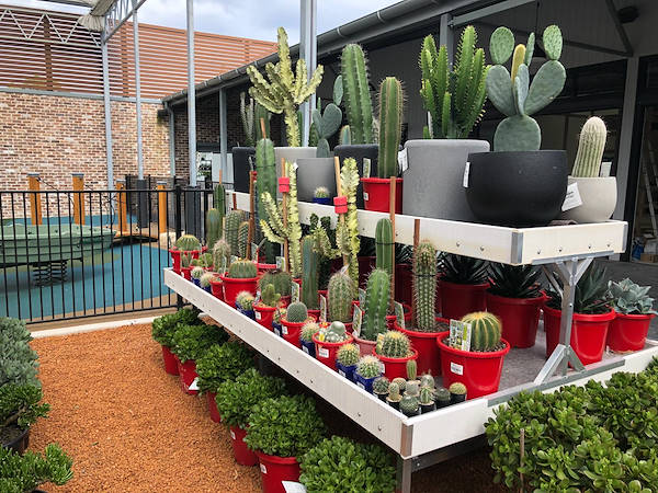 The new Flower Power Garden Center