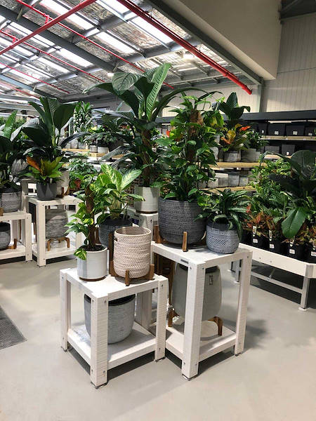 The new Flower Power Garden Center