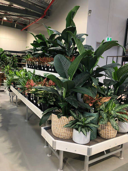 The new Flower Power Garden Center