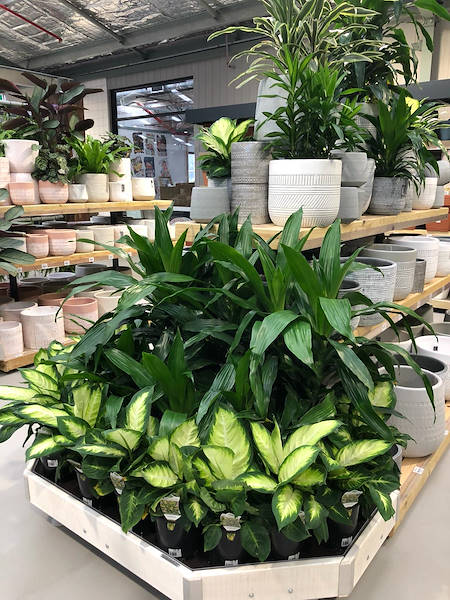 The new Flower Power Garden Center