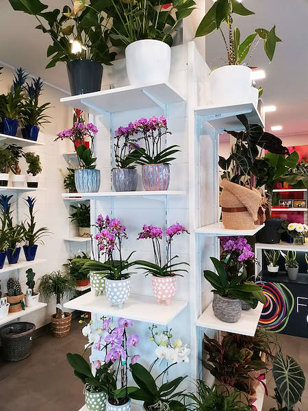 The new look of “Oasi dei Fiori” in Milan is renewed with a young and elegant layout