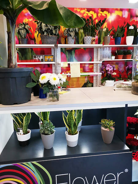 The new look of “Oasi dei Fiori” in Milan is renewed with a young and elegant layout