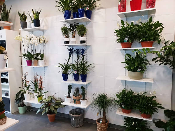 The new look of “Oasi dei Fiori” in Milan is renewed with a young and elegant layout