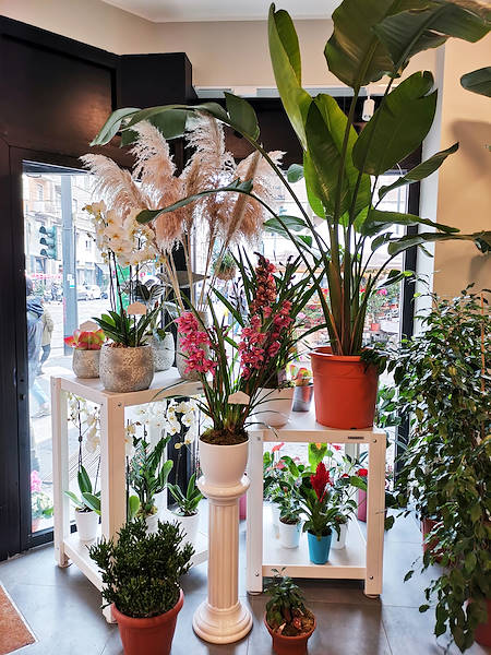 The new look of “Oasi dei Fiori” in Milan is renewed with a young and elegant layout