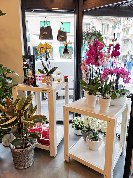 The new look of “Oasi dei Fiori” in Milan is renewed with a young and elegant layout