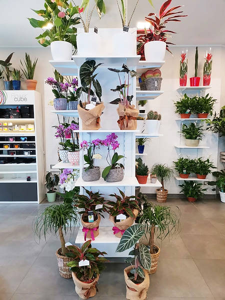 The new look of “Oasi dei Fiori” in Milan is renewed with a young and elegant layout