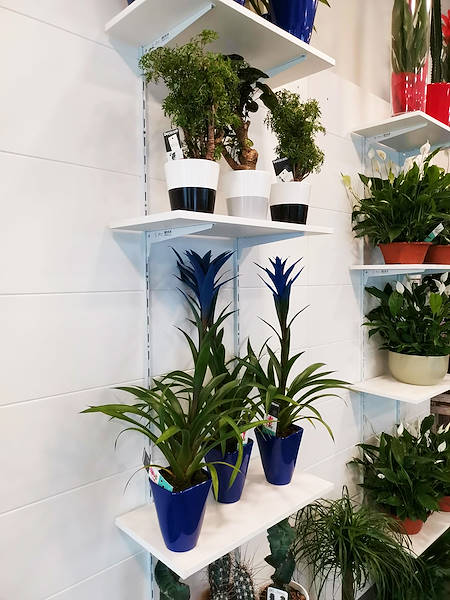 The new look of “Oasi dei Fiori” in Milan is renewed with a young and elegant layout