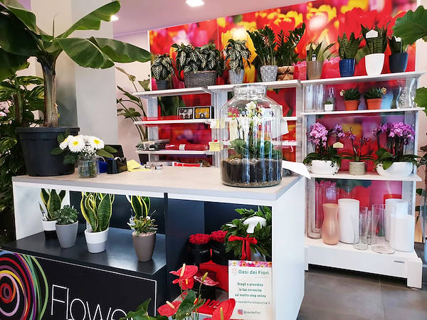 The new look of “Oasi dei Fiori” in Milan is renewed with a young and elegant layout