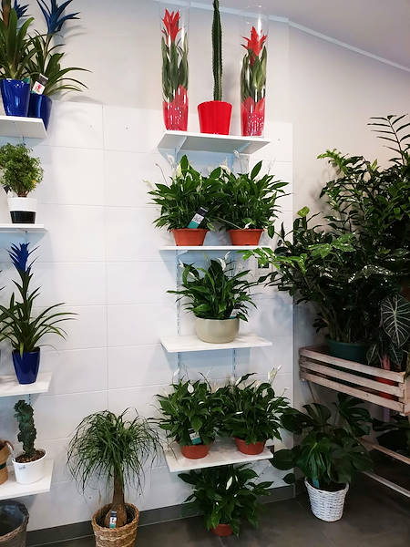 The new look of “Oasi dei Fiori” in Milan is renewed with a young and elegant layout