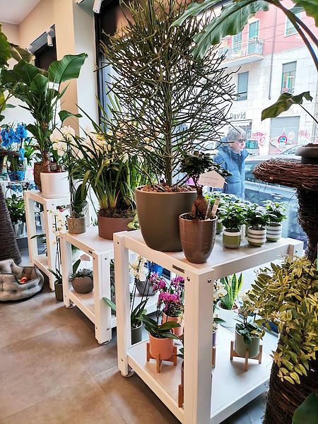 The new look of “Oasi dei Fiori” in Milan is renewed with a young and elegant layout