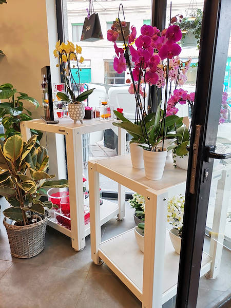 The new look of “Oasi dei Fiori” in Milan is renewed with a young and elegant layout