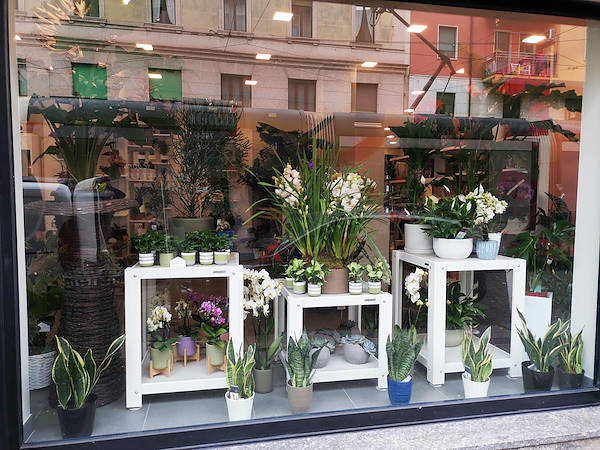 The new look of “Oasi dei Fiori” in Milan is renewed with a young and elegant layout