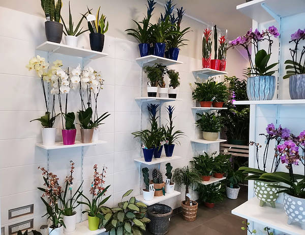 The new look of “Oasi dei Fiori” in Milan is renewed with a young and elegant layout