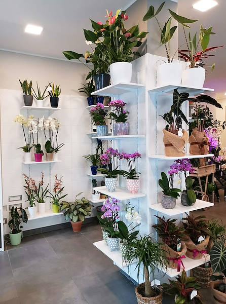 The new look of “Oasi dei Fiori” in Milan is renewed with a young and elegant layout