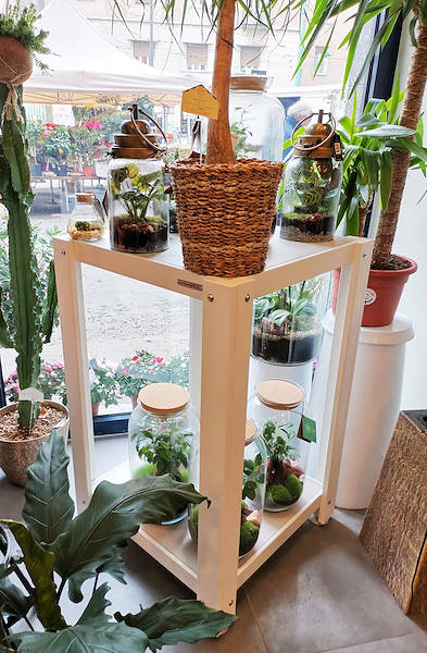 The new look of “Oasi dei Fiori” in Milan is renewed with a young and elegant layout