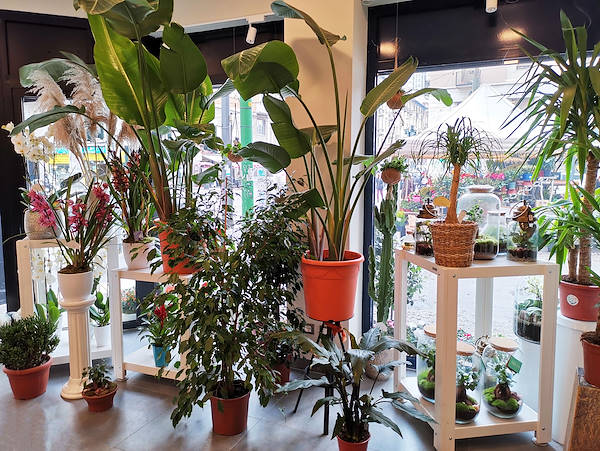 The new look of “Oasi dei Fiori” in Milan is renewed with a young and elegant layout