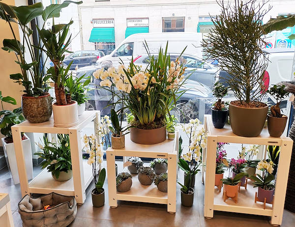 The new look of “Oasi dei Fiori” in Milan is renewed with a young and elegant layout