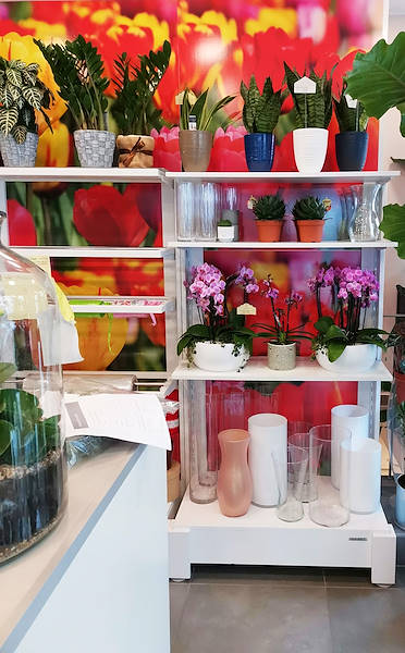 The new look of “Oasi dei Fiori” in Milan is renewed with a young and elegant layout