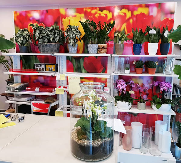 The new look of “Oasi dei Fiori” in Milan is renewed with a young and elegant layout