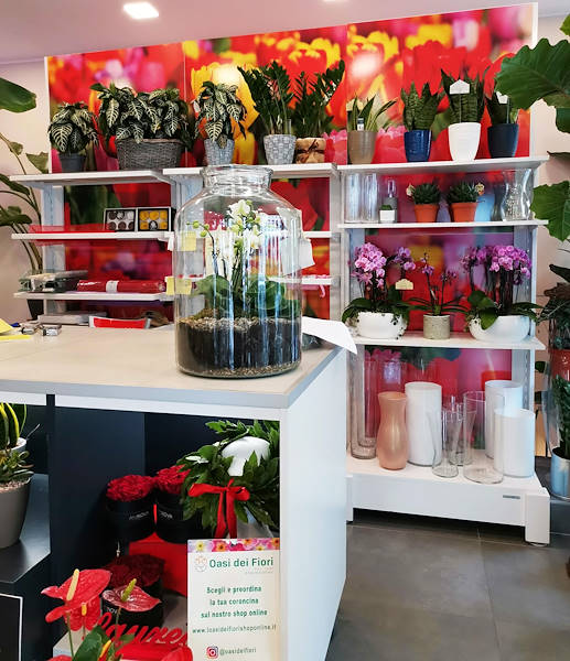 The new look of “Oasi dei Fiori” in Milan is renewed with a young and elegant layout