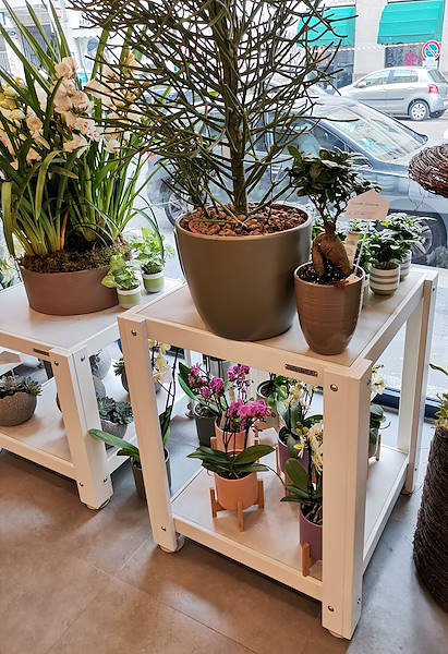 The new look of “Oasi dei Fiori” in Milan is renewed with a young and elegant layout