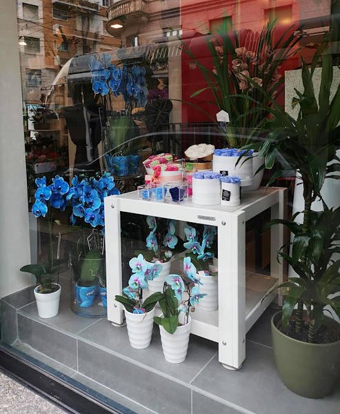 The new look of “Oasi dei Fiori” in Milan is renewed with a young and elegant layout