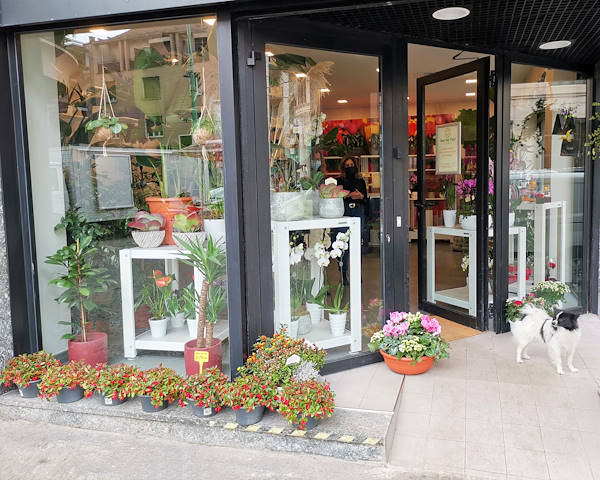 The new look of “Oasi dei Fiori” in Milan is renewed with a young and elegant layout