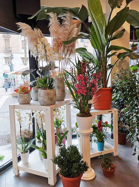 The new look of “Oasi dei Fiori” in Milan is renewed with a young and elegant layout