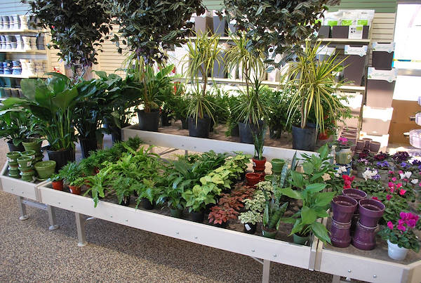 The new Petitti Garden Centers