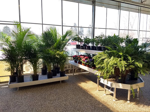 The new Petitti Garden Centers