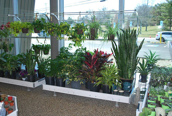 The new Petitti Garden Centers