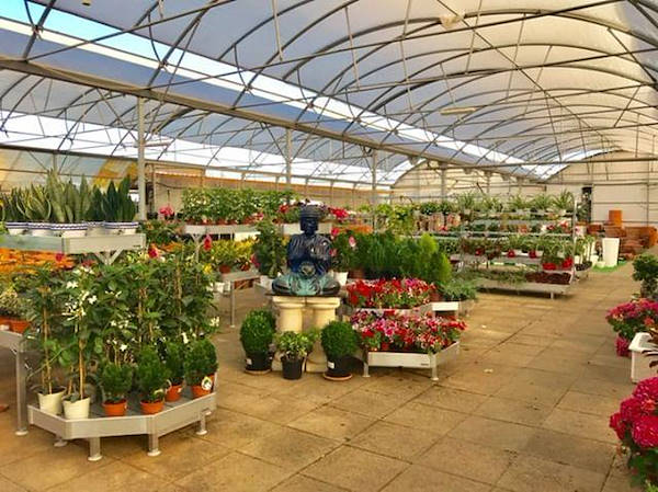 The restyling of Alfa Garden Center in Portugal