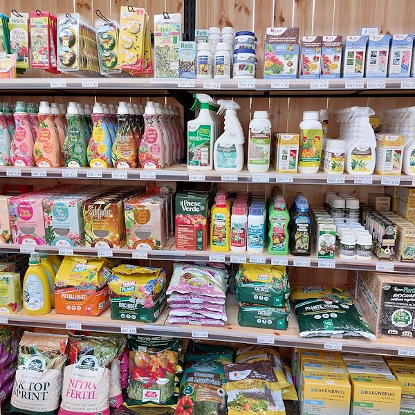 The opening - The Garden Center Il Tulipano